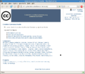 Thumbnail for version as of 12:23, 28 October 2007
